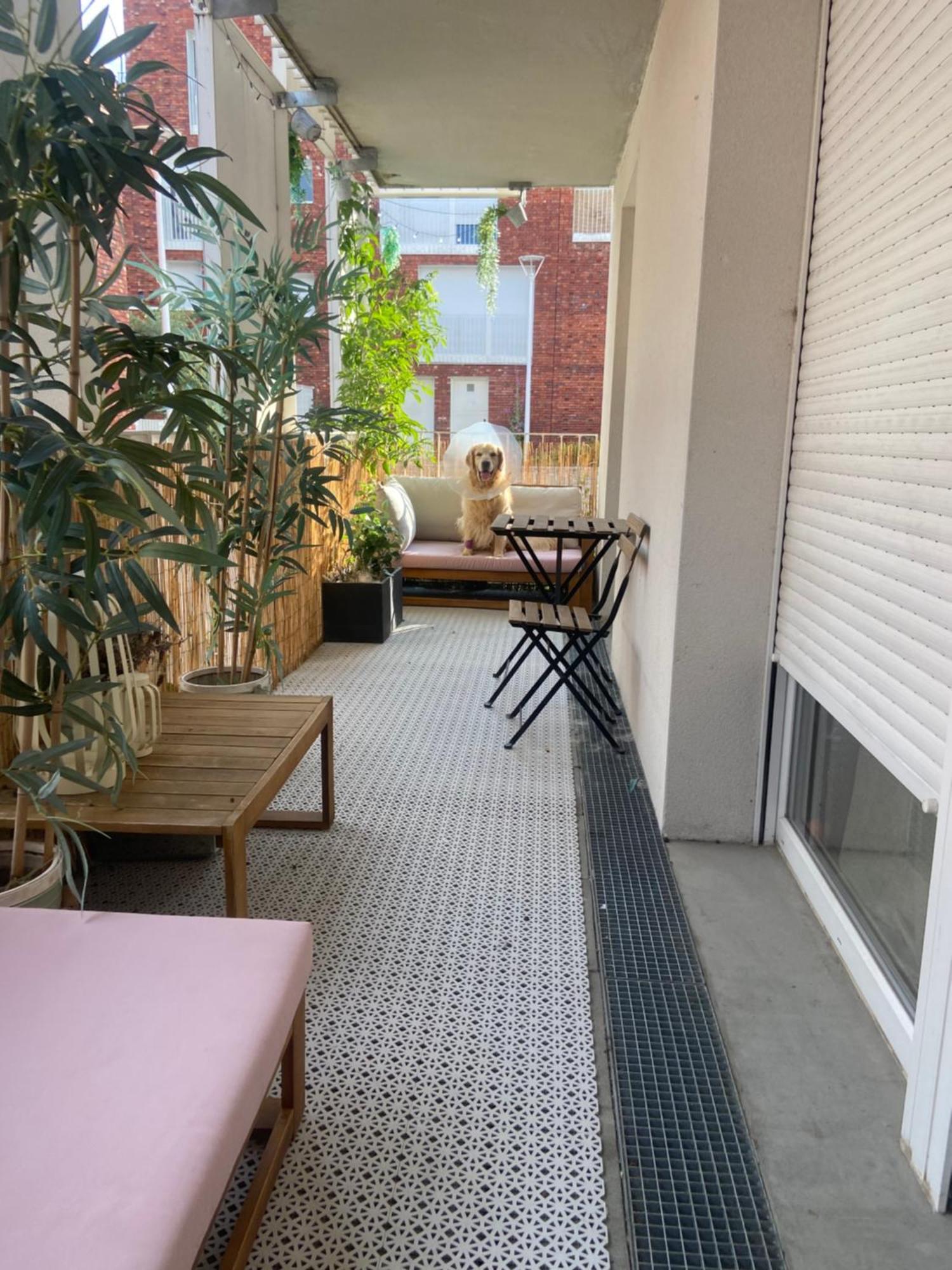 Chambre Chaleureuse Et Cosy Lille Exterior photo